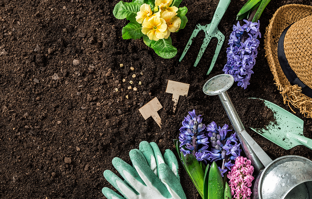 Guanti pelle da lavoro  AgriService, amore per la terra e cura  dell'ambiente